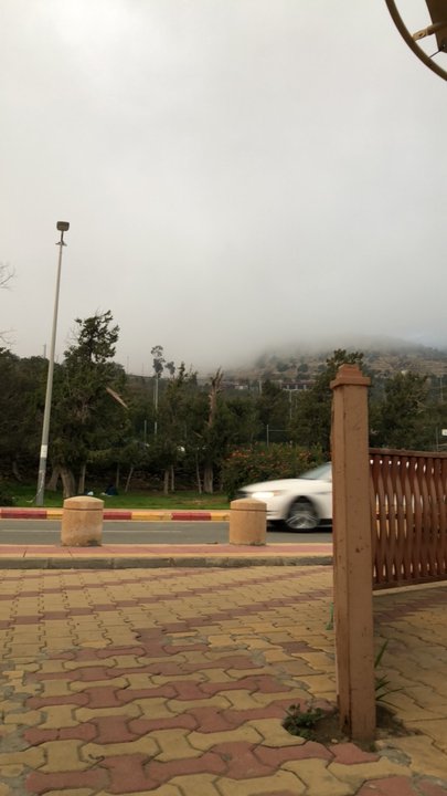 مشاركاتي في أنت الراصد