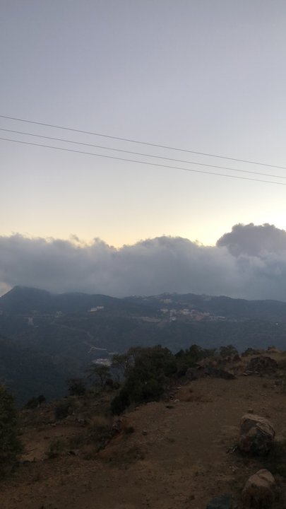 مشاركاتي في أنت الراصد