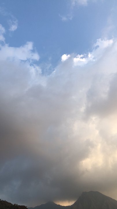 مشاركاتي في أنت الراصد