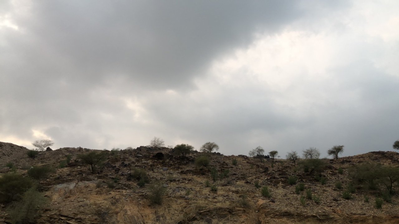 مشاركاتي في أنت الراصد