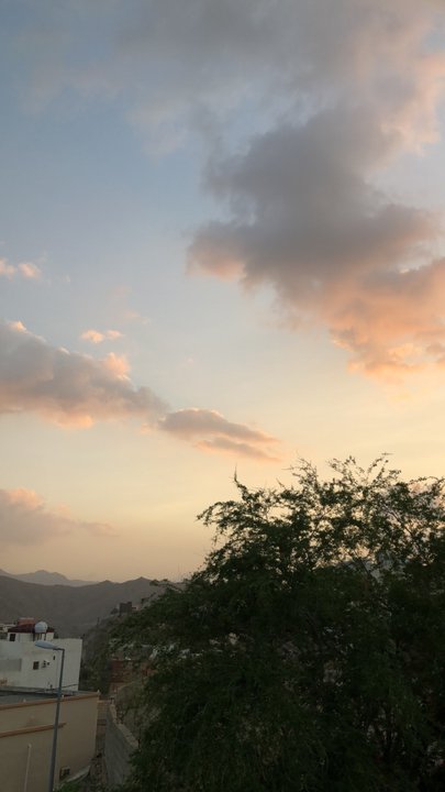 مشاركاتي في أنت الراصد