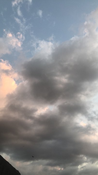 مشاركاتي في أنت الراصد