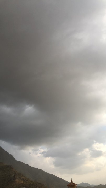 مشاركاتي في أنت الراصد