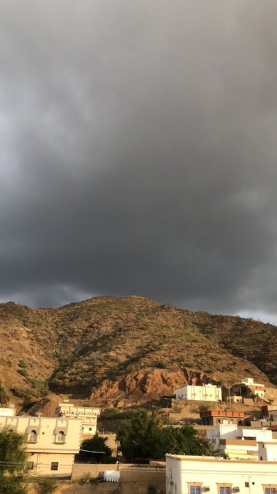 مشاركاتي في أنت الراصد