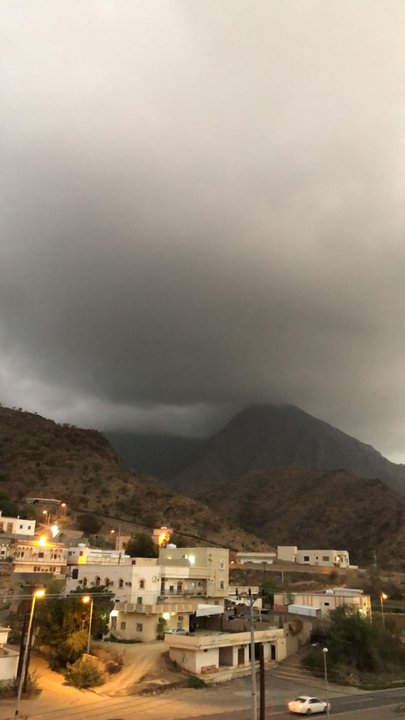 مشاركاتي في أنت الراصد