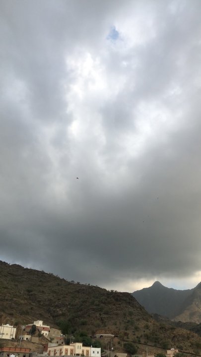 مشاركاتي في أنت الراصد