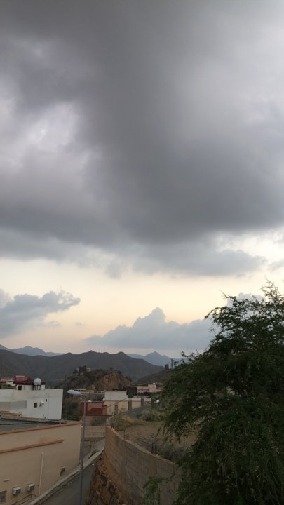 مشاركاتي في أنت الراصد