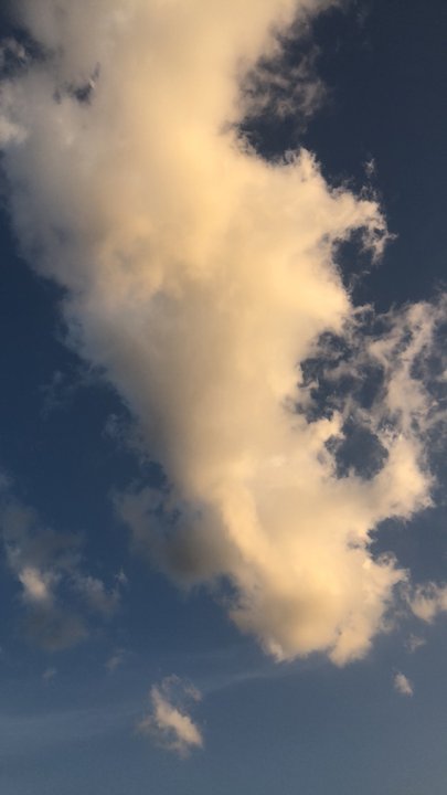 مشاركاتي في أنت الراصد