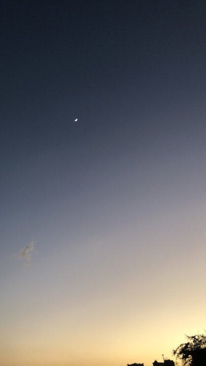 مشاركاتي في أنت الراصد