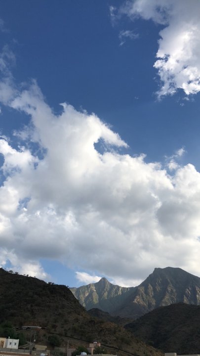 مشاركاتي في أنت الراصد