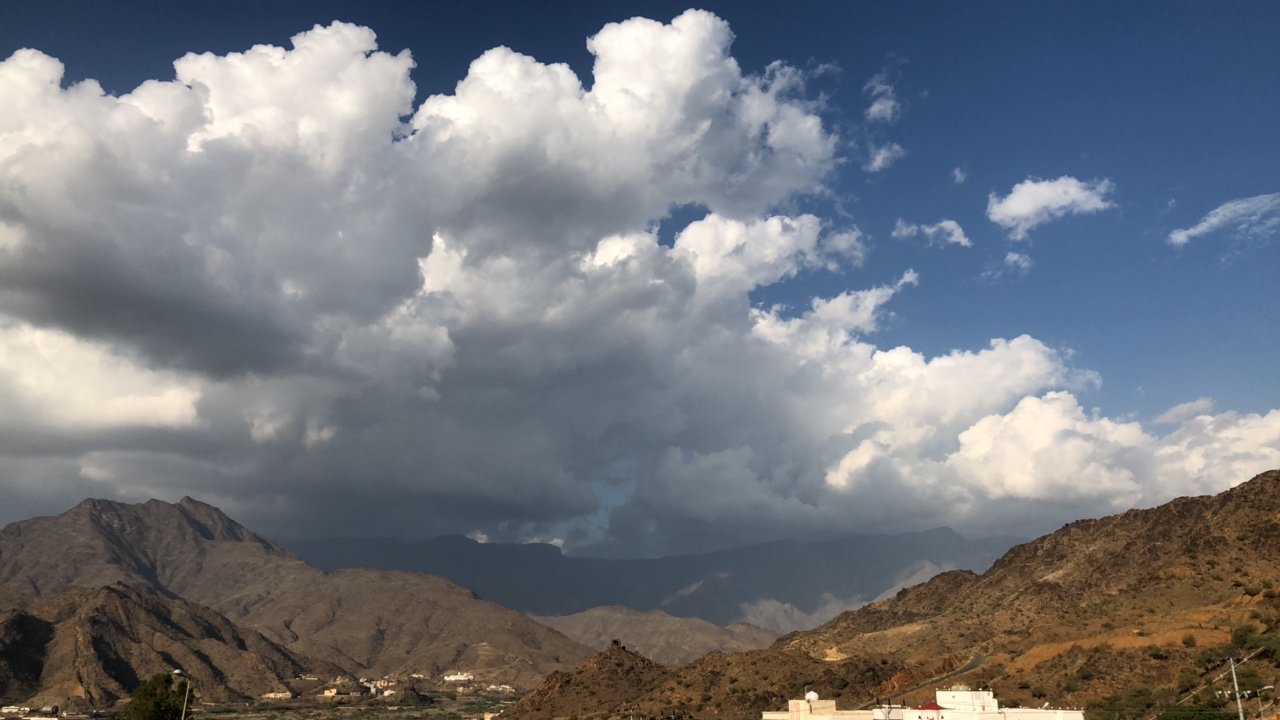 مشاركاتي في أنت الراصد