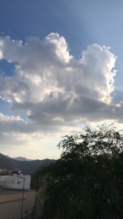 مشاركاتي في أنت الراصد