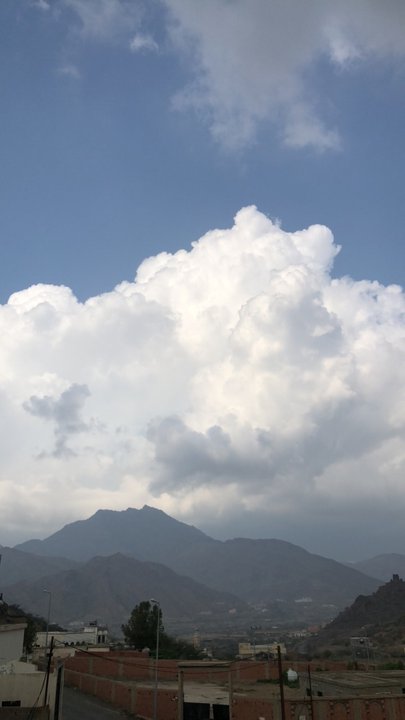 مشاركاتي في أنت الراصد