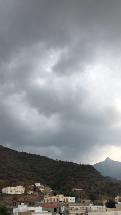 مشاركاتي في أنت الراصد