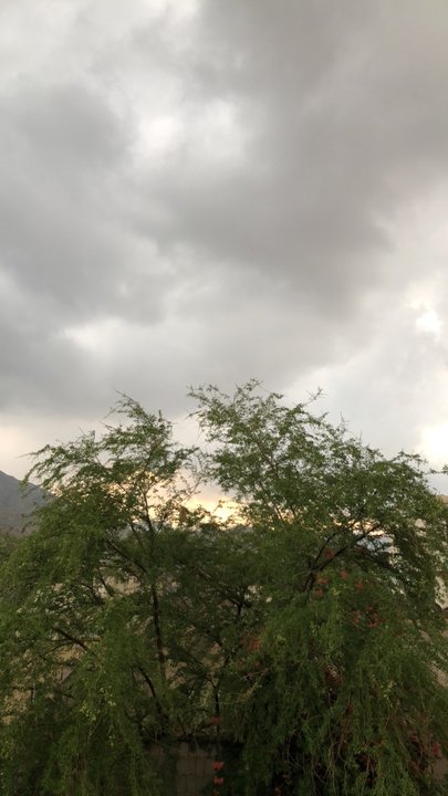 مشاركاتي في أنت الراصد