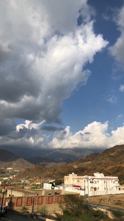 مشاركاتي في أنت الراصد