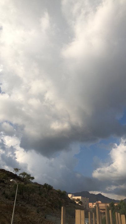 مشاركاتي في أنت الراصد