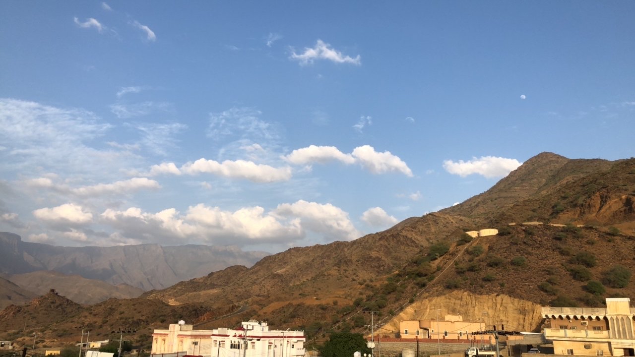 مشاركاتي في أنت الراصد