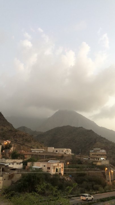 مشاركاتي في أنت الراصد