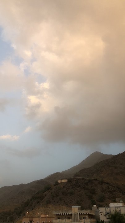 مشاركاتي في أنت الراصد