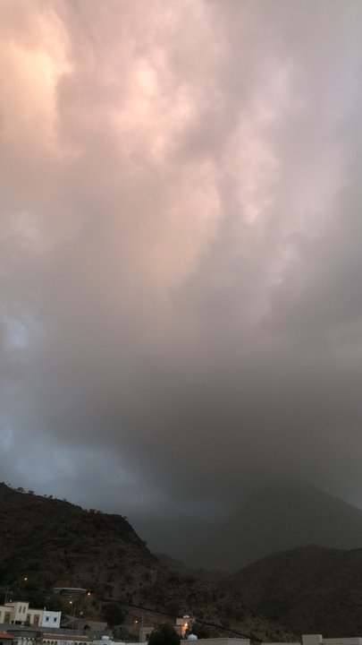 مشاركاتي في أنت الراصد