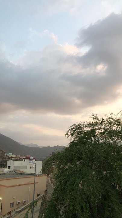 مشاركاتي في أنت الراصد