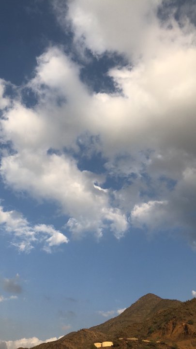 مشاركاتي في أنت الراصد