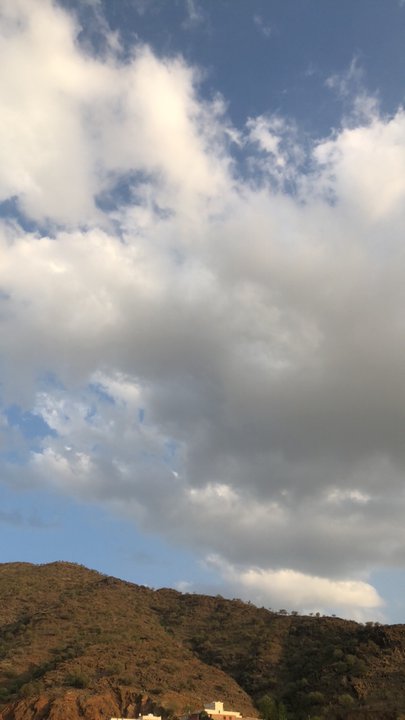 مشاركاتي في أنت الراصد