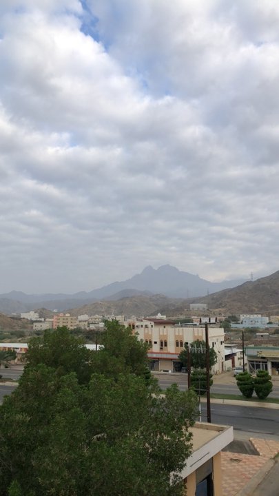 مشاركاتي في أنت الراصد