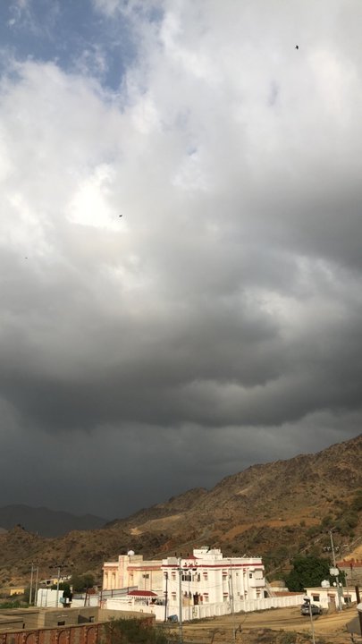 مشاركاتي في أنت الراصد