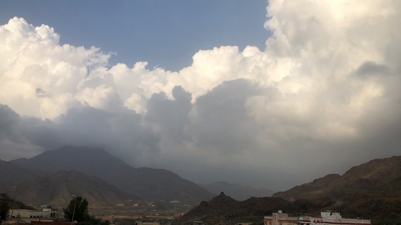 مشاركاتي في أنت الراصد