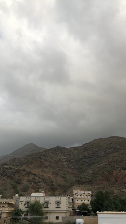 مشاركاتي في أنت الراصد