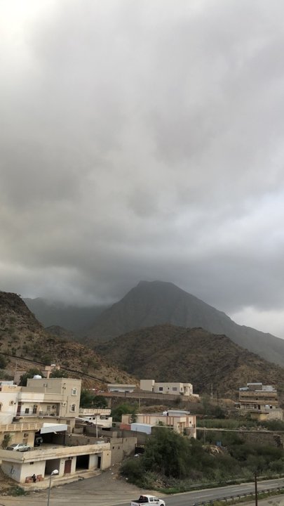 مشاركاتي في أنت الراصد