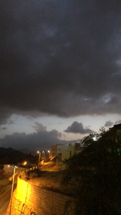 مشاركاتي في أنت الراصد