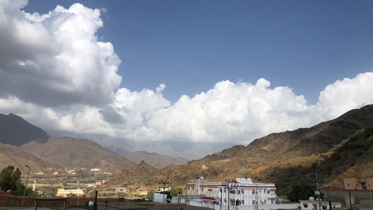 مشاركاتي في أنت الراصد