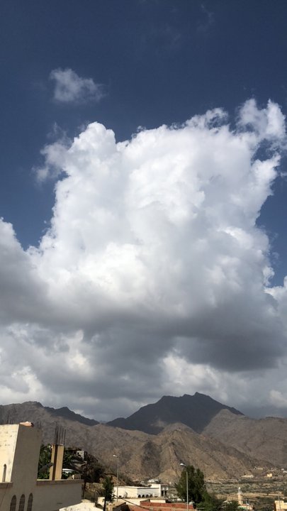 مشاركاتي في أنت الراصد