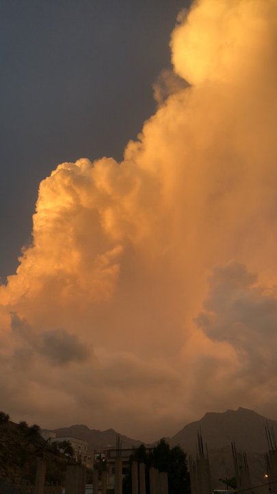 مشاركاتي في أنت الراصد