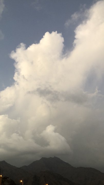 مشاركاتي في أنت الراصد