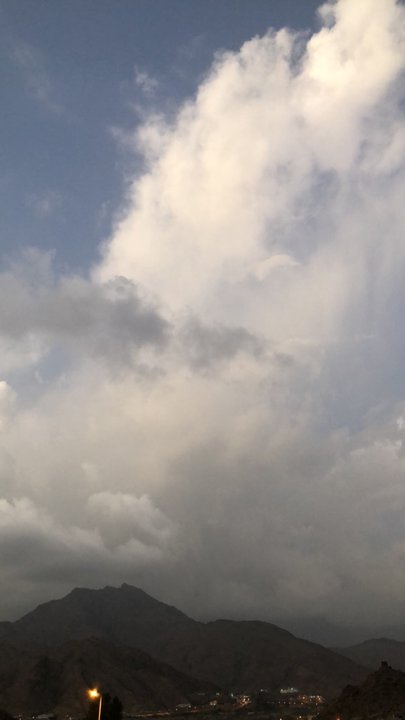 مشاركاتي في أنت الراصد