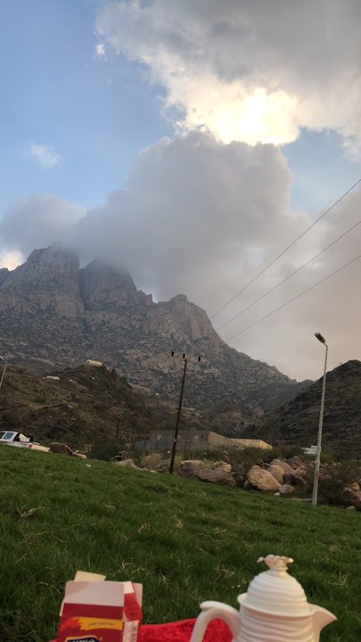 مشاركاتي في أنت الراصد