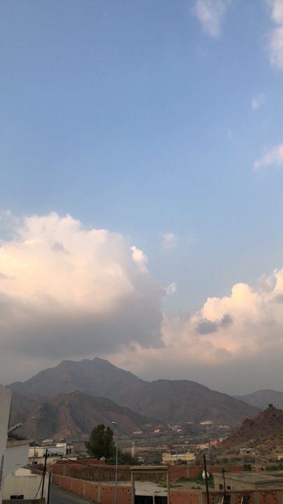 مشاركاتي في أنت الراصد