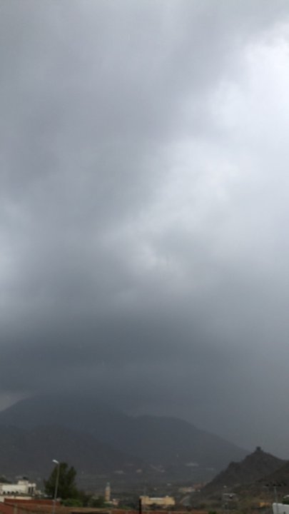 مشاركاتي في أنت الراصد