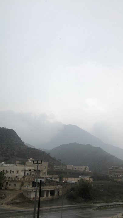 مشاركاتي في أنت الراصد