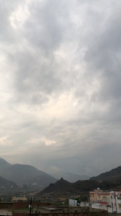 مشاركاتي في أنت الراصد