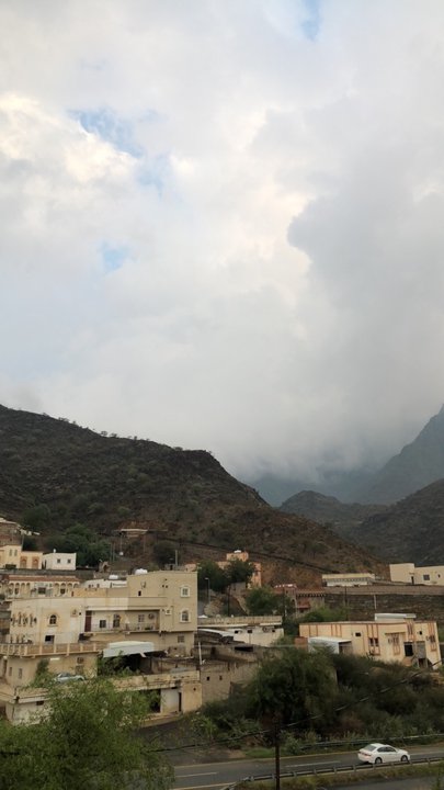 مشاركاتي في أنت الراصد