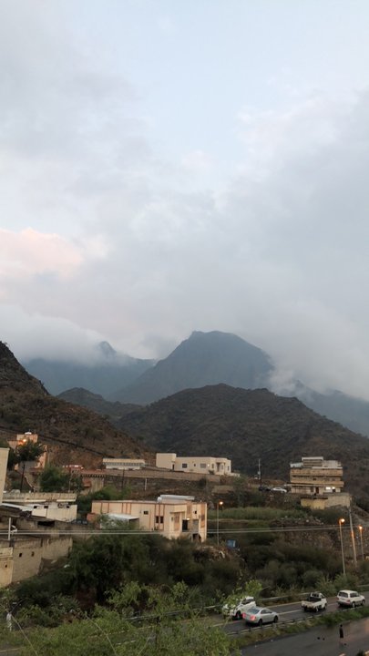 مشاركاتي في أنت الراصد