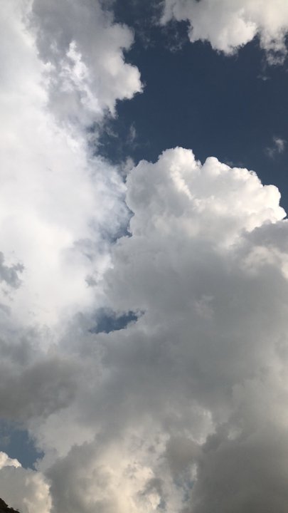 مشاركاتي في أنت الراصد