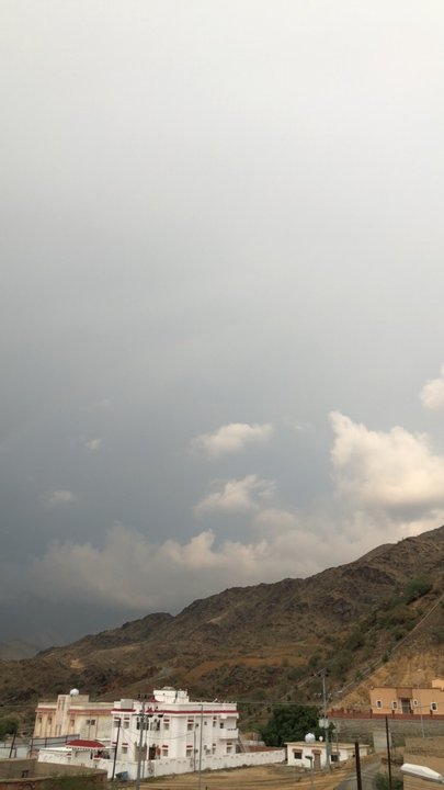 مشاركاتي في أنت الراصد