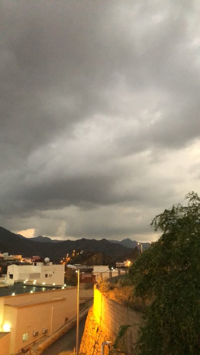 مشاركاتي في أنت الراصد