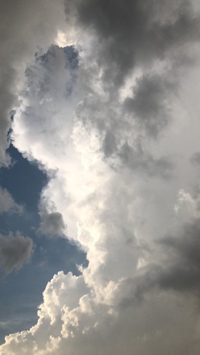 مشاركاتي في أنت الراصد